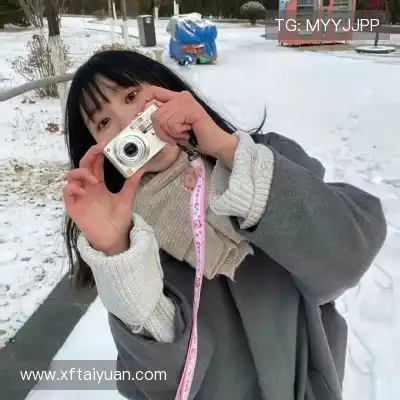 梅鹃仪